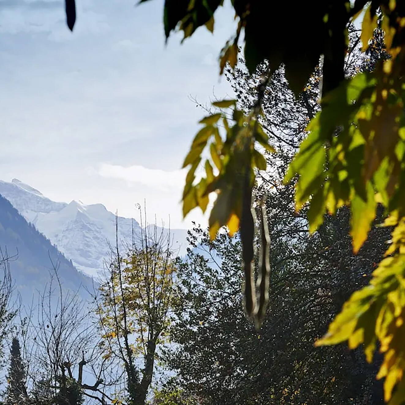 Chalet Verve – Boutique Guesthouse Interlaken 