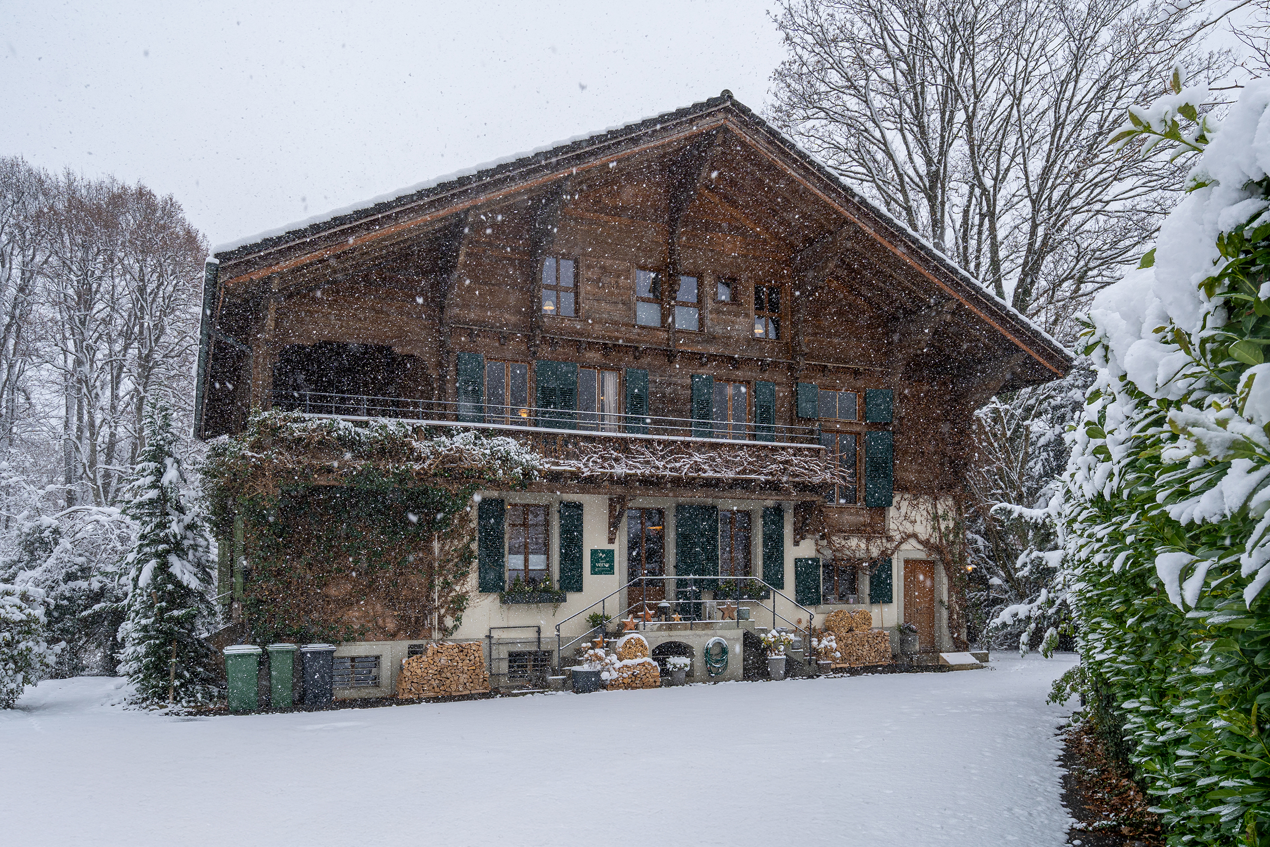 20251121-MAMO-Photography-DSC05517-FULL